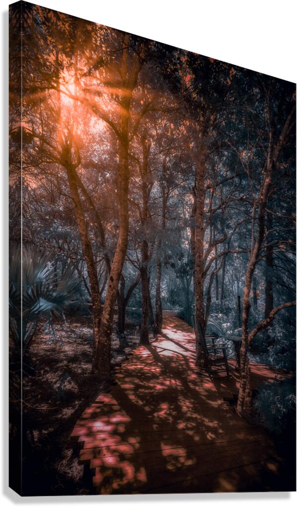 Where the Light Finds You Canvas Print