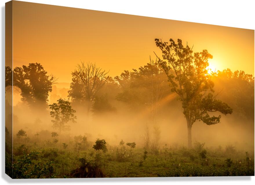 Misty Morning Glow: Dawn in Gettysburg Canvas Print