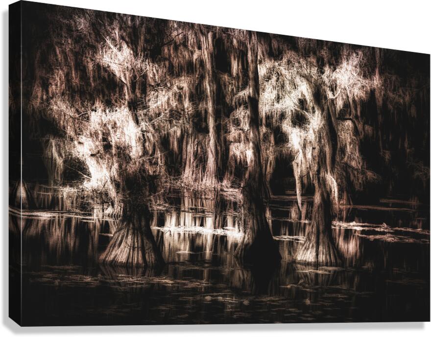 The Light Between Worlds Canvas Print