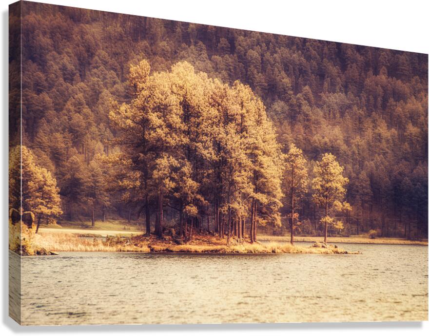 Stockade Lake Tree Island Hazy Canvas Print