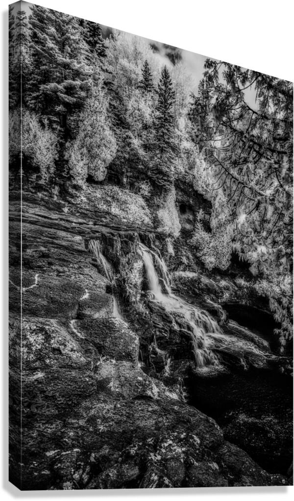 Hidden Sanctuary of the North Woods Canvas Print