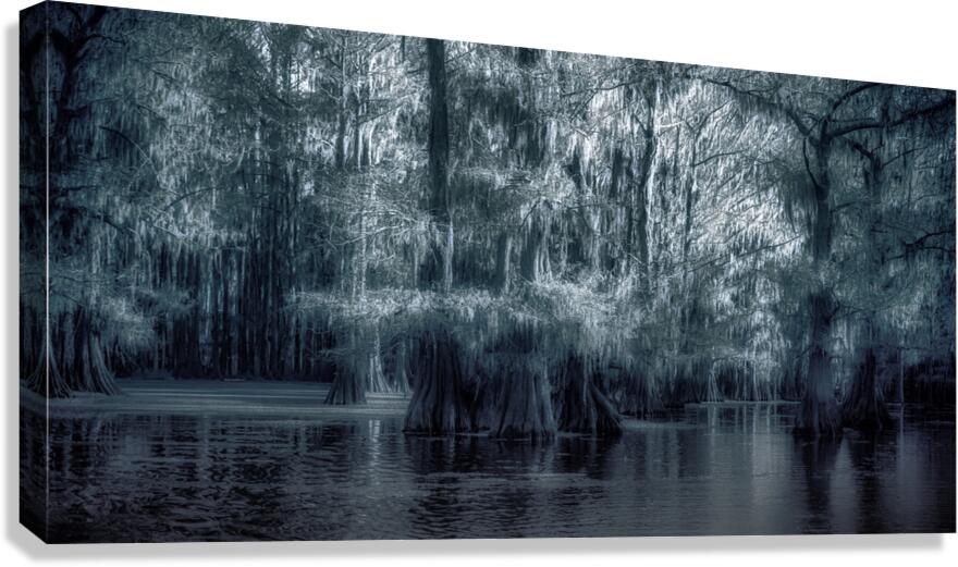 Twilight Between Worlds Canvas Print