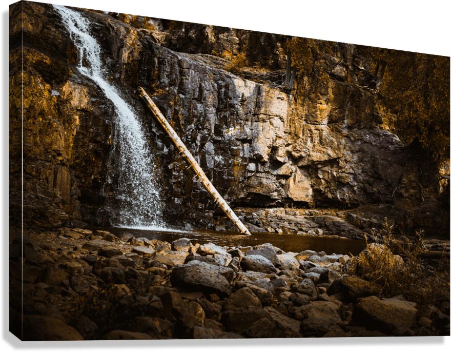 The Fallen Guardian Canvas Print