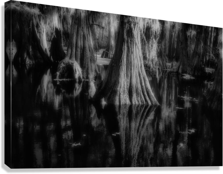 Rooted in Stillness Canvas Print