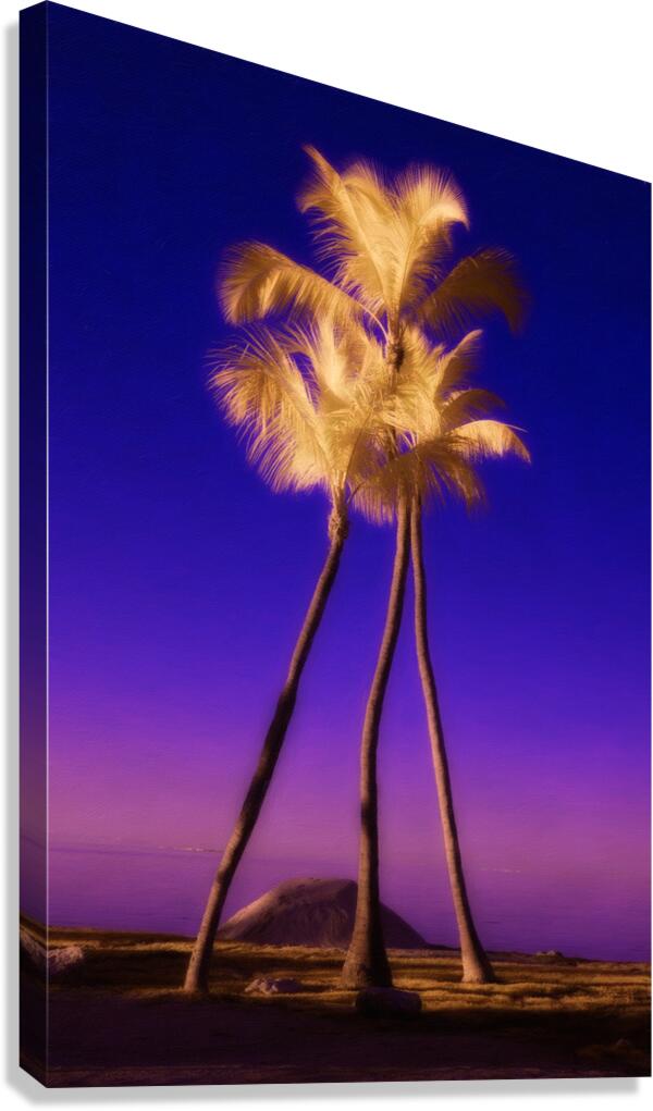 Palms in Violet Silence Canvas Print