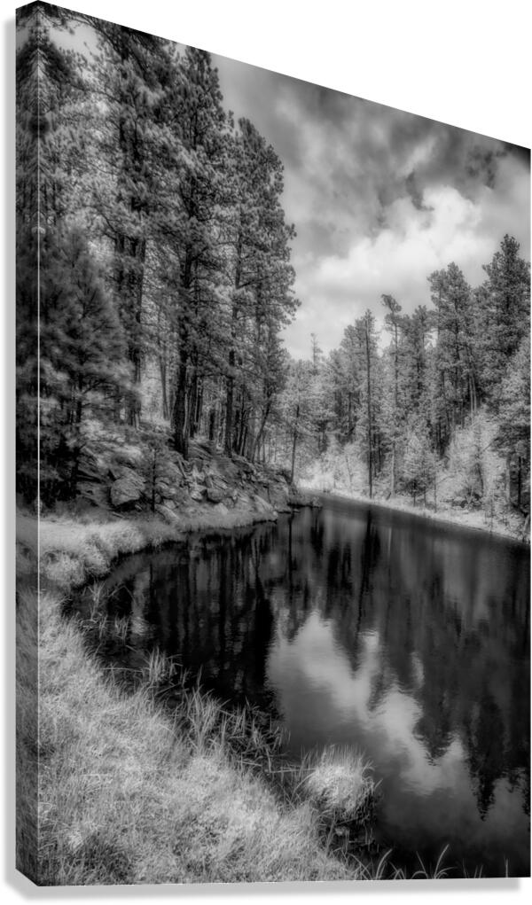 Whispers of Nature: Immersing in the Surreal Beauty of South Dakotas Wilderness Canvas Print