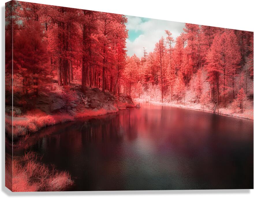 Radiant Tranquility: A Stroll Along Grace Coolidge Lakes Infrared Wonderland in South Dakota Canvas Print