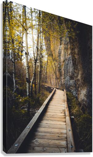 Wooden Trail Serenity: Capturing the Enchanting Rain-Kissed Moments at Sylvan Lake South Dakota  Canvas Print