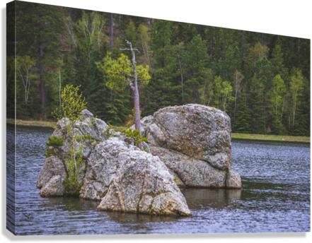 Exploring Sylvan Lake: Discovering A Rock Island Canvas Print