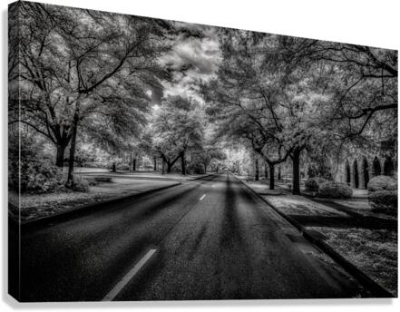 Eufaula Elegance: A Monochromatic Journey Through Time Canvas Print