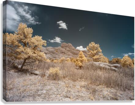 Scotchman Trail -2 Canvas Print