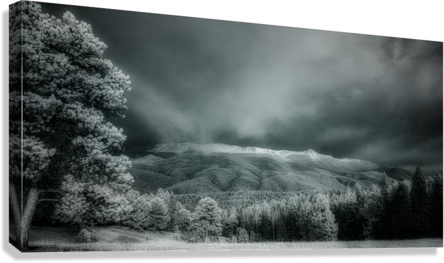 Muellers Mystique Canvas Print