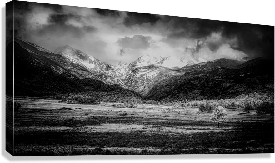Mountains Embrace: Lone Valley Tree  Canvas Print
