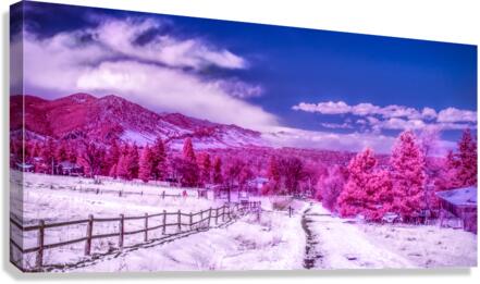 Chautauqua Chronicles: Pink Path Canvas Print