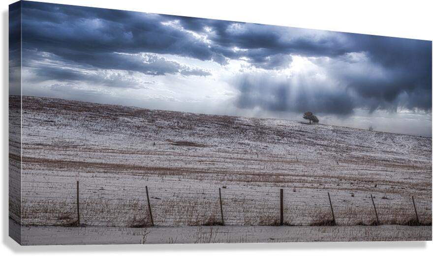 Winters Solitude in Colorado Canvas Print