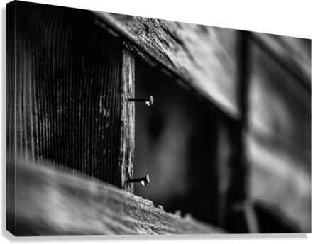 Nebraska Farm - 8 Canvas Print