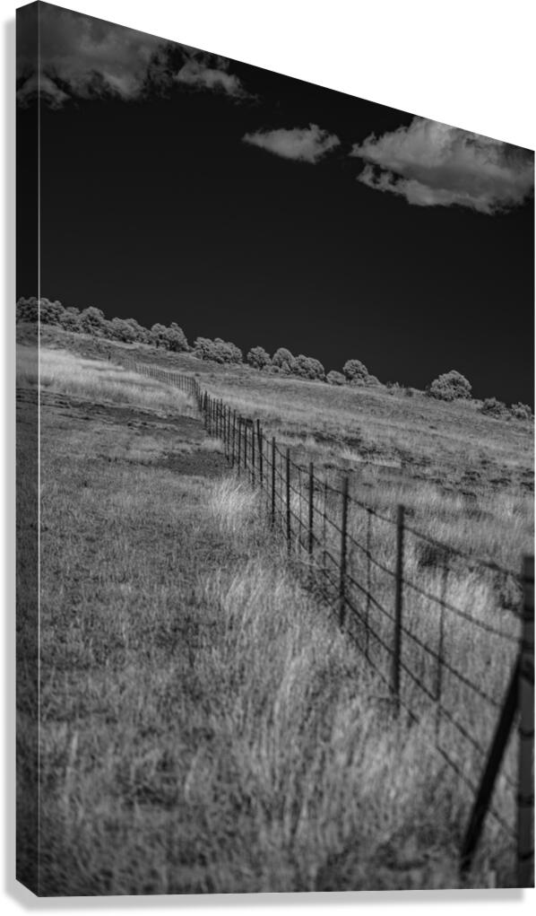 Fenceline Whisper in Monochrome Canvas Print