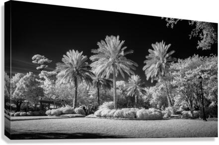 Saint Marys Park Canvas Print