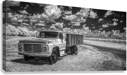 Vineyard Harmony: A Southern Georgia Winery Adventure Canvas Print