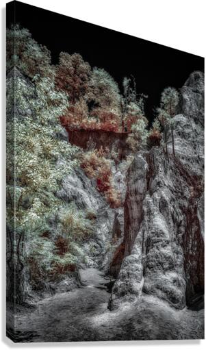 Providence Canyon Georgia Canvas Print