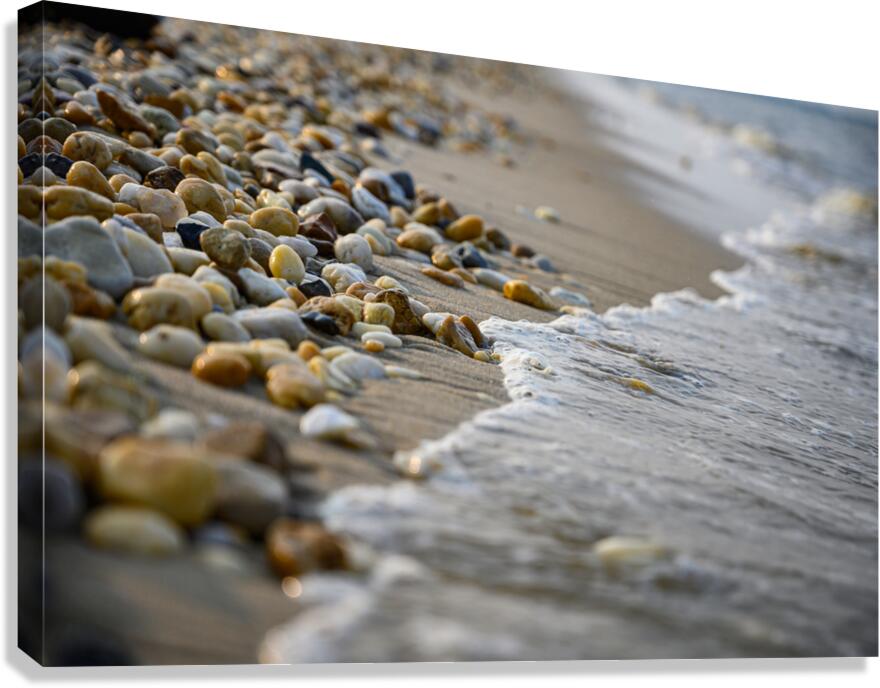 Shoreline Symphony Canvas Print
