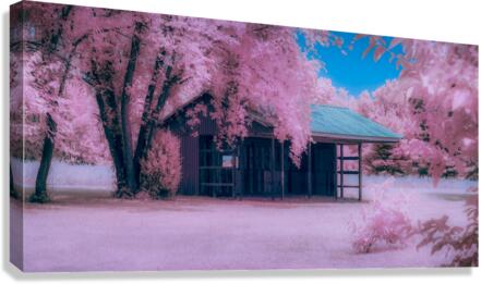 Infrared Delaware Barn Canvas print