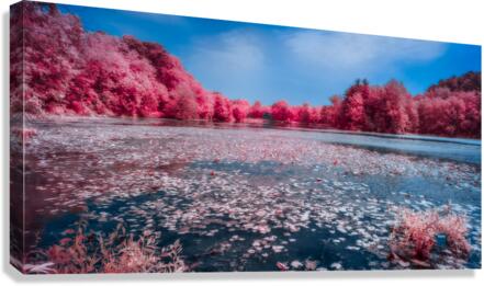 Ruby Pond Canvas Print