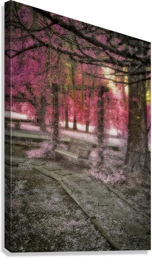 Echoes of Time: Infrared Memories Canvas Print