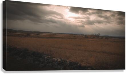 Codori Light Canvas Print