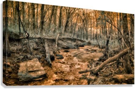 Ghostly Flow: Exploring Gettysburgs Bloody Run in Infrared  Canvas Print
