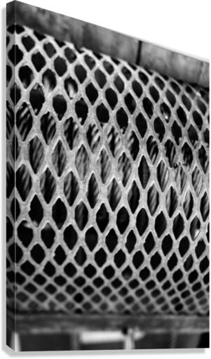 Monochrome Marine Mysteries: Up Close & Personal Canvas Print