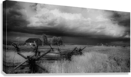 Infrared Field   Canvas Print
