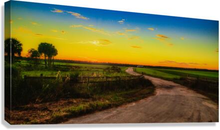 Sunset Serendipity: A Charming Ride Through Rural Floridas Ocala Countryside  Canvas Print