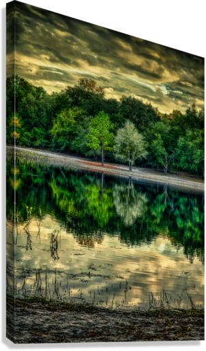 Florida Dreamscapes: Indian Lake State Forest Canvas Print