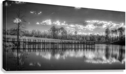 Tranquil Reflection: Florida Dead Lakes Canvas Print