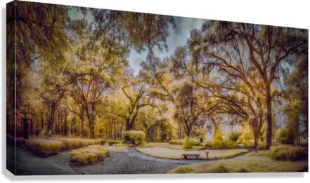 Mustard Labyrinth Canvas Print