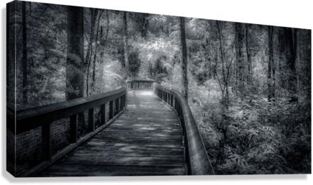 Silver Boardwalk Canvas Print
