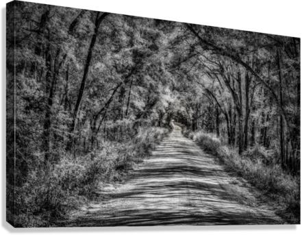 Florida Dirt Road Canvas Print