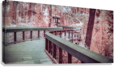 Winding Dreams Boardwalk Canvas Print