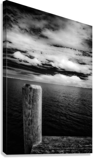 Essence of Stillness Canvas Print