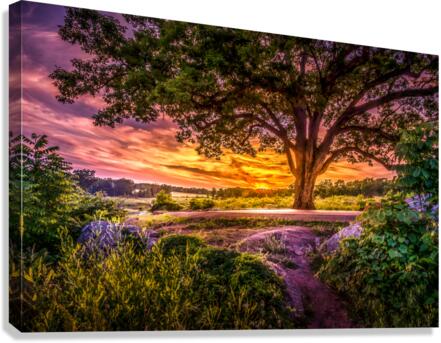 Fairytale Sunset Canvas Print