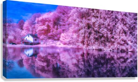 Pink Pond Canvas Print