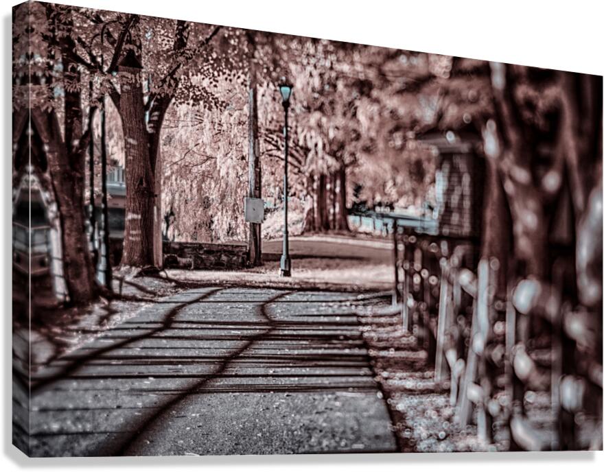 IR Trail in Town Canvas Print