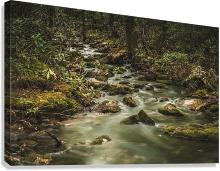 Mossy Rocks Canvas Print