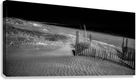 Fence Watching the Ocean  Canvas Print