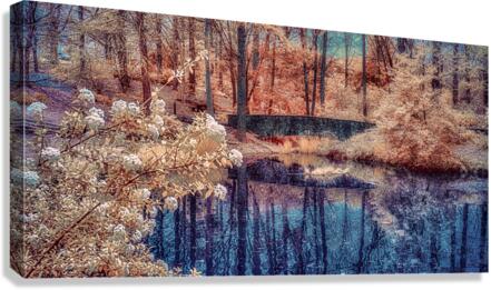 Colorful Reflecting Pond Canvas Print