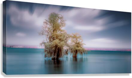 Big Brother Canvas Print