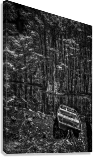 On Dry Land Canvas Print