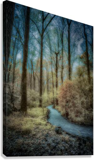 Botanical Bliss: Exploring Colorful Trails in South Carolina Canvas Print
