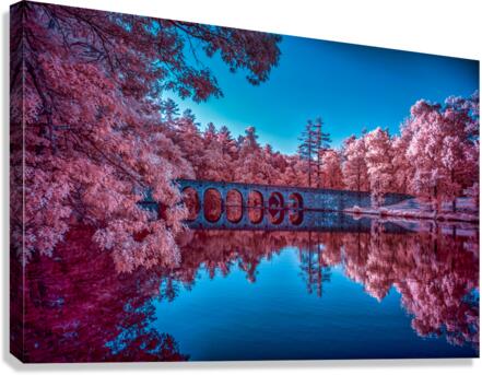 Infrared Oasis: Pink Arches  Canvas Print